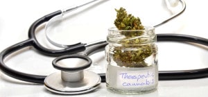 Gli effetti cerebrali della cannabis - Psichiatra Roma