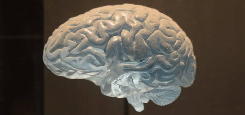 Quando rivolgersi al neurologo oltre che allo psichiatra? - Psichiatra Psicoterapeuta Roma